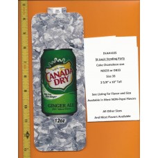 Large Coke Size Chameleon Soda Flavor Strip Canada Dry Ginger Ale 12oz CAN